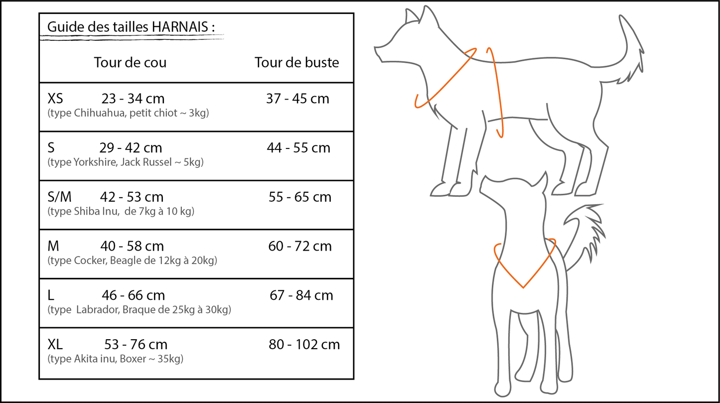 Harnais Confort - Eventails